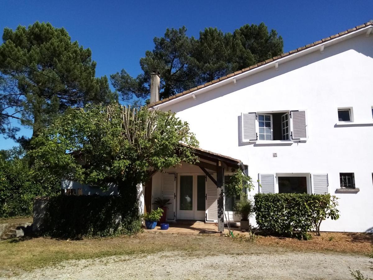 Saint-Morillon "Gite D'Ici Et D'Ailleurs" 1 Dependance Dans Propriete,Et 1 Maison Independante Au Coeur Du Vignoble Bordelais Et Du Bassin D Arcachon المظهر الخارجي الصورة